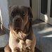 Rita Rocco - Facebook