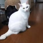 @ritaroland.4 - Instagram