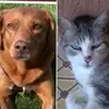 ritarotondo481 - @ritarotondo481 - TikTok