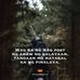 Rowan Rita - Facebook