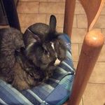 Rita Ruffini - @rita.ruffini47 - Instagram