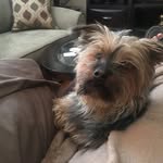 Rita Ruggles - @ritak72357 - Instagram