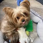 Rita Rushing - @rita.rushing - Instagram