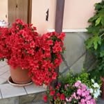 Rita Russo - @_rita.russo_ - Instagram