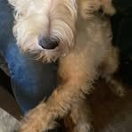 Rita Rutledge - Facebook