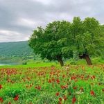Rita Salman - @ritasalman6 - Instagram