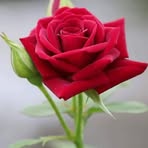 Rita Saucedo - Facebook