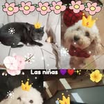Rita Saucedo - @rita.saucedo.503092 - Instagram