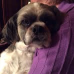 Rita Schilling - Facebook