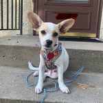 Rita (Margarita Skeeter) - @ritasearsmn - Instagram