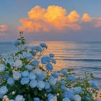 Rita Shine - Facebook