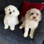Rita Stone-Goulet - @stonegoulet - Instagram