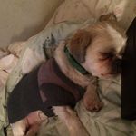 Rita Warner - @ritawarner11 - Instagram