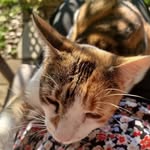 rita young - @ritayoung12345 - Instagram