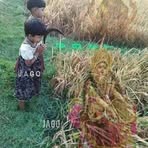Ritesh Ozariya - Facebook