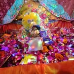 Ritu Agrawal - @rituagrawal196 - Instagram