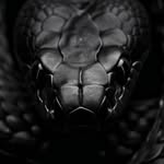 jawed - @riverstark4078 - Instagram