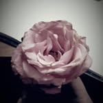 Riya Jacob - @riya.j_thesweettooth - Instagram