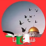 Riyad Abed - @riyad.abed.39 - Instagram