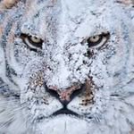 Riyadh Abbas - @riyadhjojo - Instagram