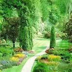Riyadh Abbas - Facebook