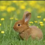riyan smith � - @riyansmith_ - Instagram