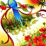 Rizwan Munir - Facebook