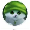 Rizwan Munir - @rizwan.munir71 - TikTok