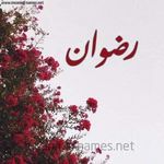 Rizwan Zia - @rizwanzia8369 - Instagram