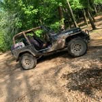 RJ Bishop - @rjbishop223 - Instagram