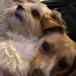 Robin Martin Fleming - @rjfleming6 - Instagram