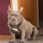 Rj Thomas - @dutchboy1319 - Instagram