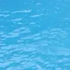 Rj thomas - @rj123_0924 - TikTok