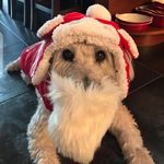 Rob Abraham - @robabraham1020 - Instagram