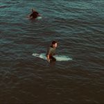 Rob Abrams - @robabramssurf - Instagram