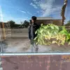Robthekids - @rob_acosta234 - TikTok