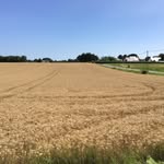 @robalbert35 - Instagram