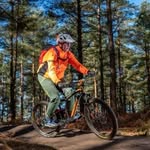 Rob Appleton - @rob_appleton1 - Instagram