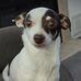 Robbie Apple - Facebook