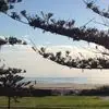 Rob Ash - @rob.ash64 - TikTok
