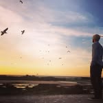 Robert Hankey - @rob_barefoot_architects - Instagram