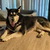 Rob Barker - @rob.barker5 - TikTok
