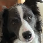 Rob Barker - @ayupduck - Instagram
