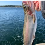 Rob Baron - @baronrob164 - Instagram