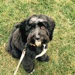 Rob Baron - @rbaron12 - Instagram