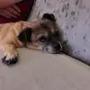 robbaron671 - @robbaron671 - TikTok