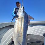 Robert Barrett - @rob_barrett_fishing - Instagram