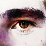 Rob Bauer - @beingrobbauer - Instagram