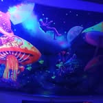 Rob Baxley - @robbaxley824 - Instagram
