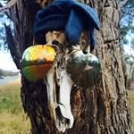 Rob Beasley - @rob.beasley - Instagram